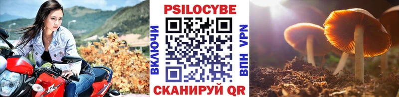 Галлюциногенные грибы MAGIC MUSHROOMS Белозерск